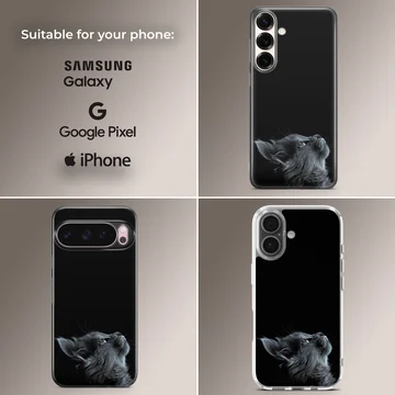 Black cat looking up on a phone case — Collage