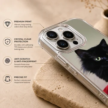 Black cat with a red rose phone case — Info