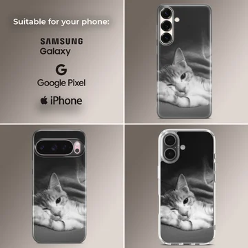 Monochrome photographic print of a sleepy resting cat on a matte phone case — Collage