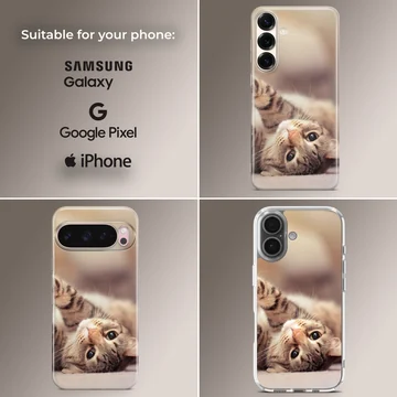 Close up photo of an adorable tabby cat lying on its back on a phone case — Collage