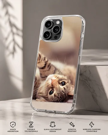 Close up photo of an adorable tabby cat lying on its back on a phone case — Specs