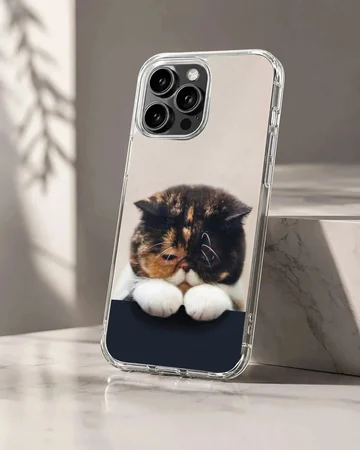 Close-up of a tortoiseshell cat resting its white paws over a dark edge on a phone case