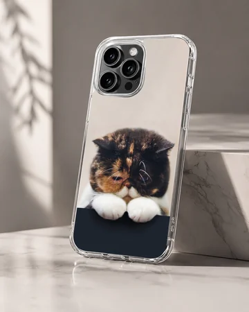 Close-up of a tortoiseshell cat resting its white paws over a dark edge on a phone case — Hero