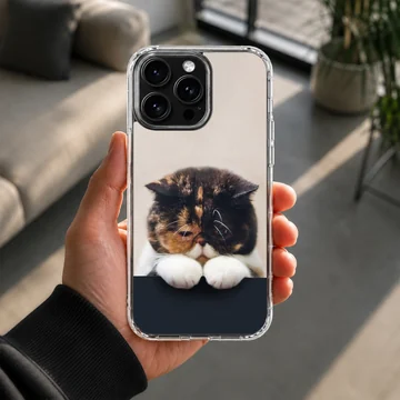 Close-up of a tortoiseshell cat resting its white paws over a dark edge on a phone case — Lifestyle