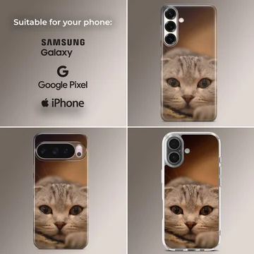 A close-up photographic print of a curious Scottish Fold cat with big amber eyes on a phone case — Collage