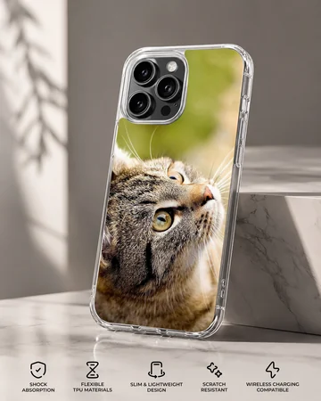 Close-up photographic print of a curious tabby cat looking upward on a phone case — Specs